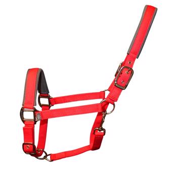 Woof Wear | Contour Head Collar | Royal Red
