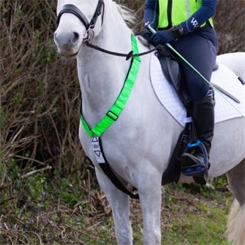 Woof Wear | Hi Vis Neck Band | Lime